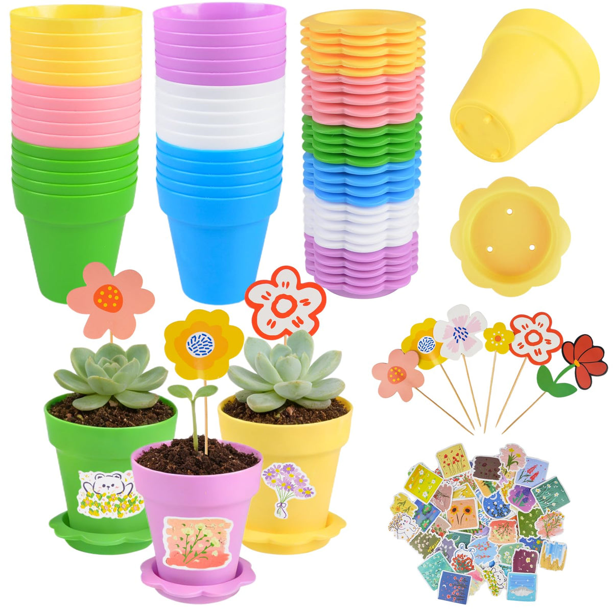 Letesult cupcake pot in mixed colors for vibrant indoor displays