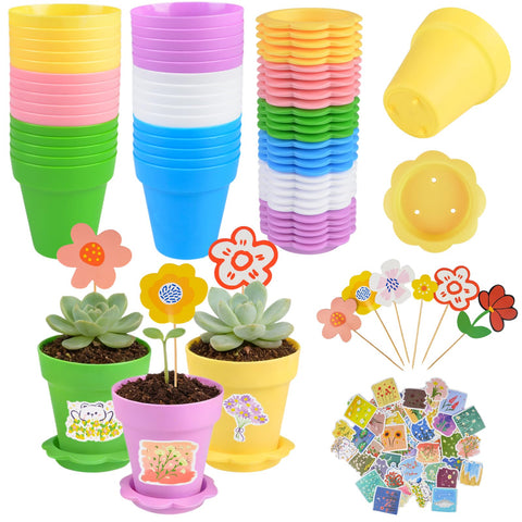 Letesult cupcake pot in mixed colors for vibrant indoor displays