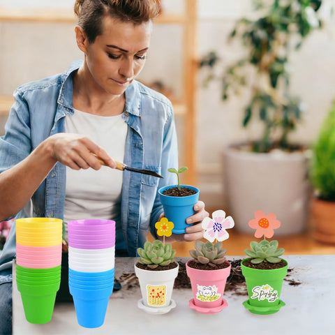 Letesult cupcake pot ideal for seedlings and small succulents