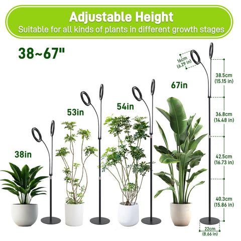 LETKEYS height-adjustable pole enables precise light placement.