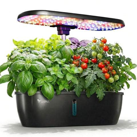 LETPOT hydroponics 12-pod system on countertop for fresh herbs