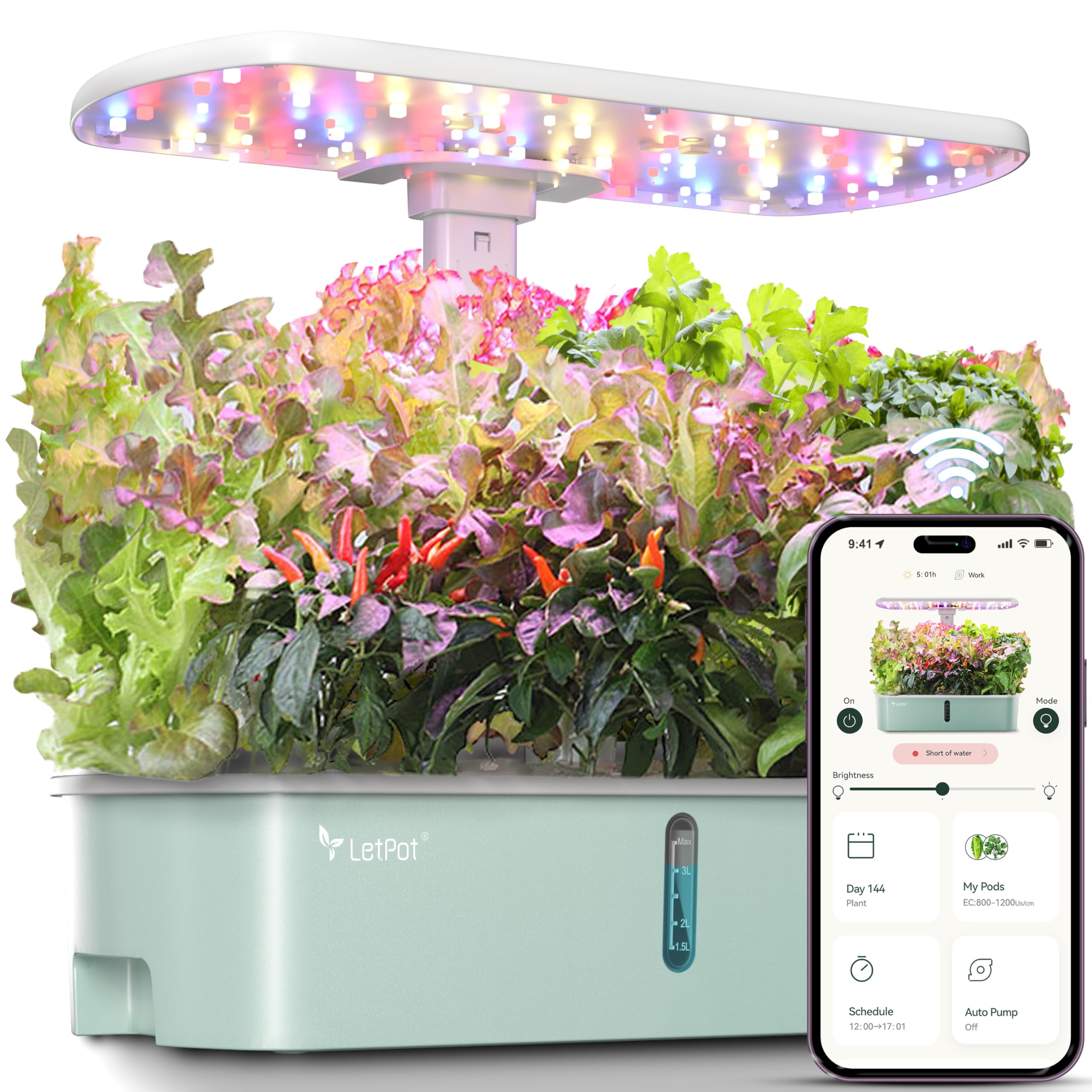 LetPot LPH-Air system on a kitchen counter for year-round herbs