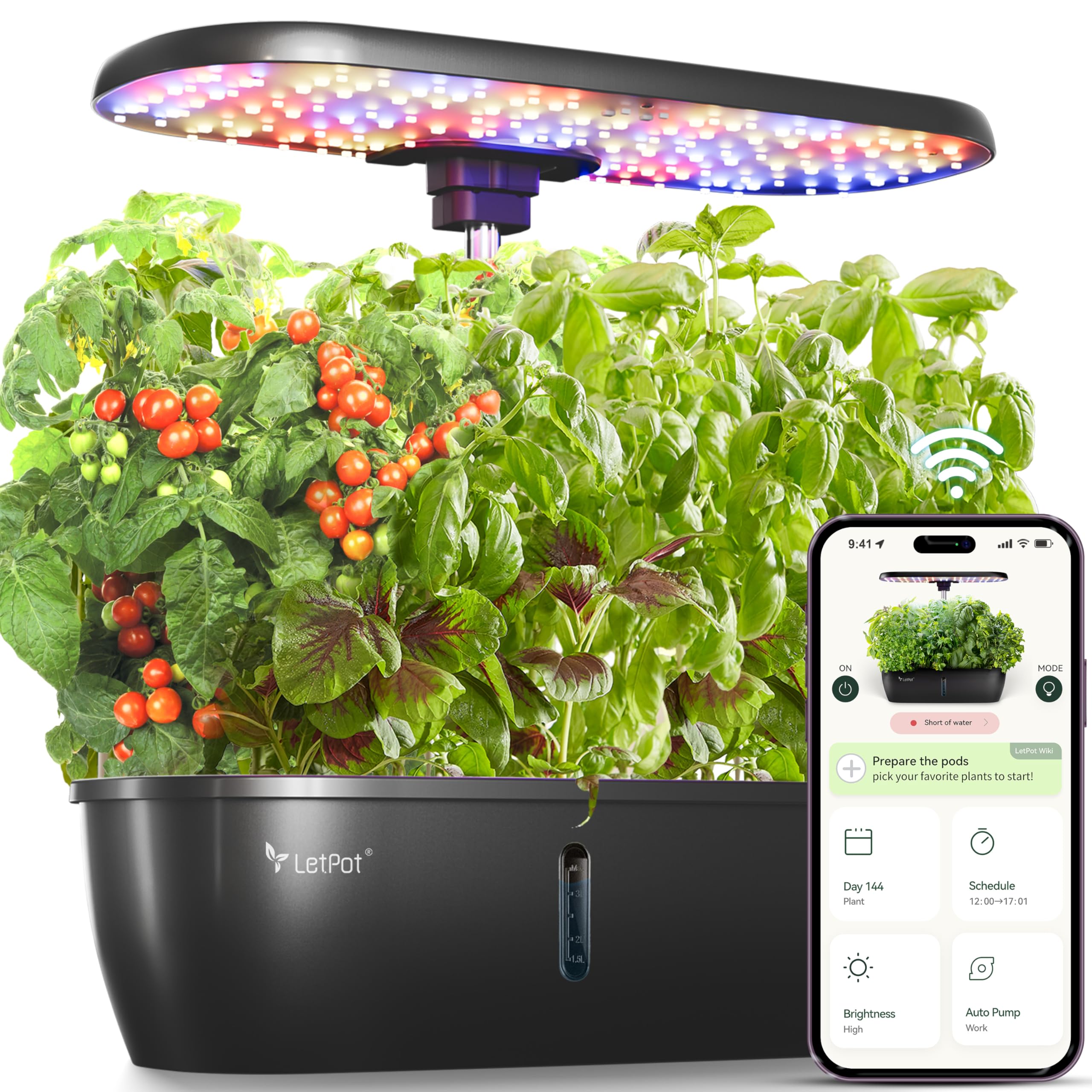 LETPOT LPH-Lite hydroponic system showing compact indoor setup for fresh herbs indoors
