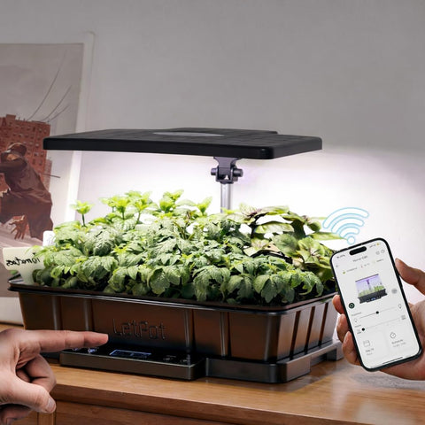 LetPot seed starter with LED panel provides even light for compact growth