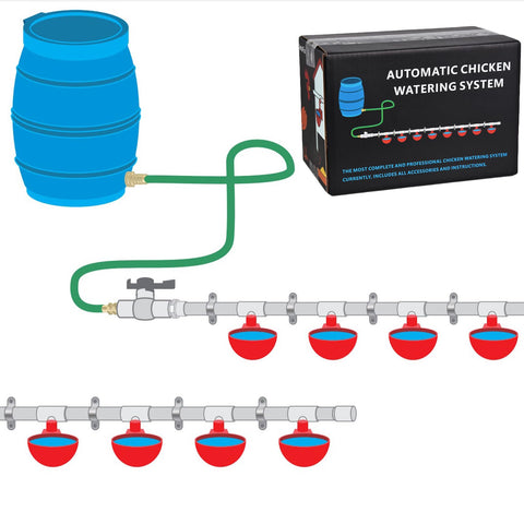 LetsFix automatic chicken watering system with visible PVC pipe delivering steady water flow.