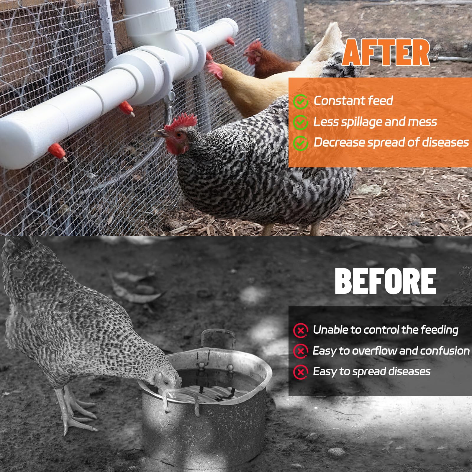LetsFix automatic poultry watering system in action for multiple birds