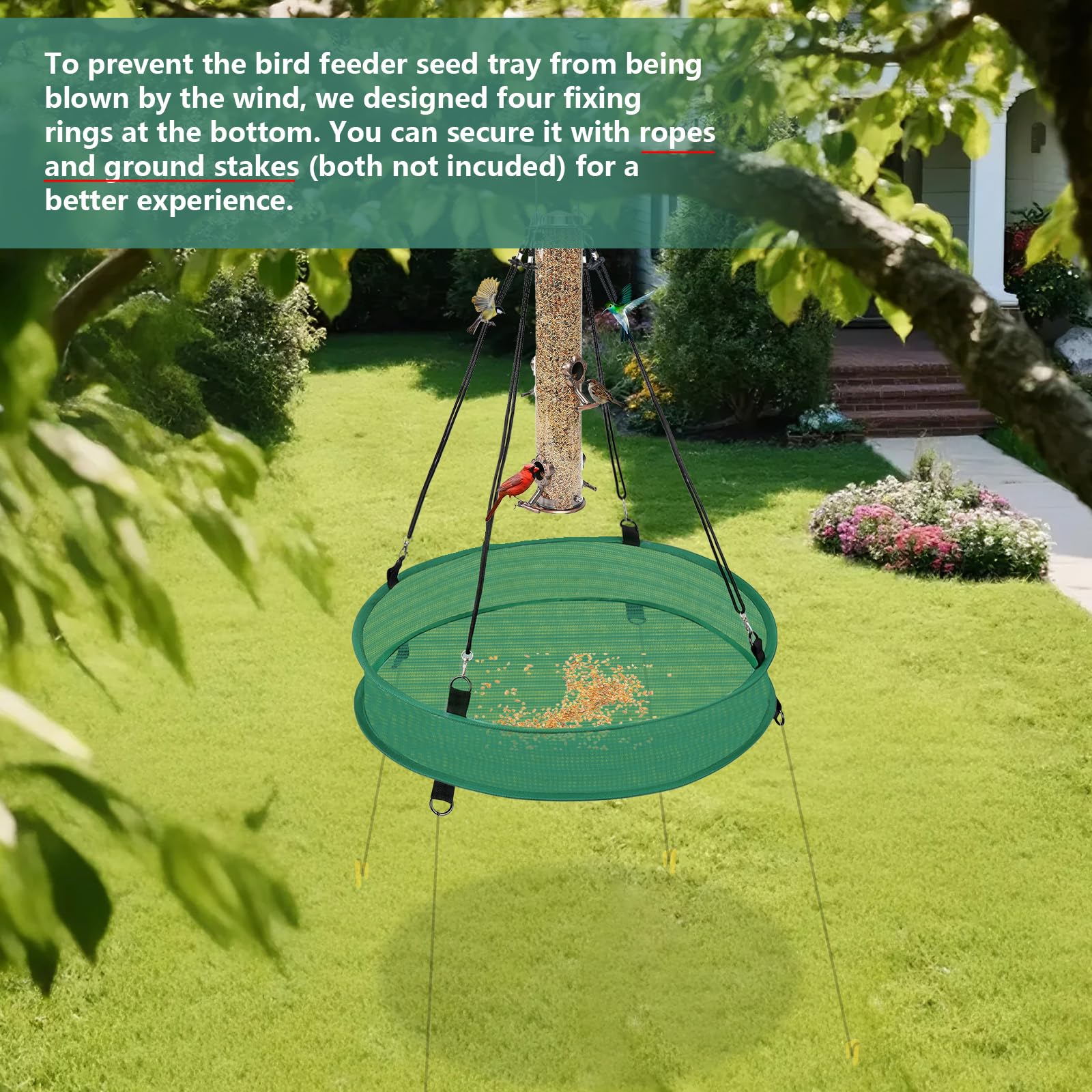 Lettry seed catcher tray 30in under feeder protects lawn from shells.
