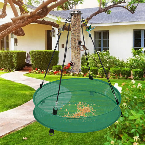 Lettry easy cleaning seed catcher maintains tidy feeding area.