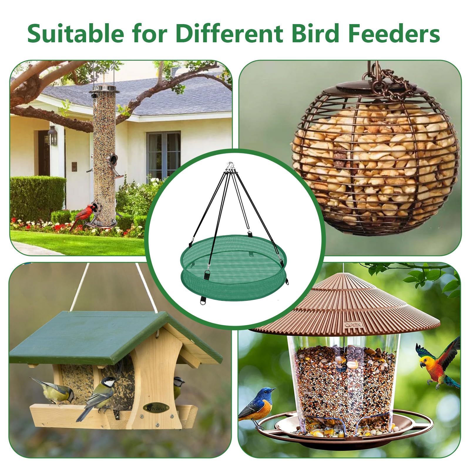 Lettry garden feeding area cleanup keeps yard tidy for birds