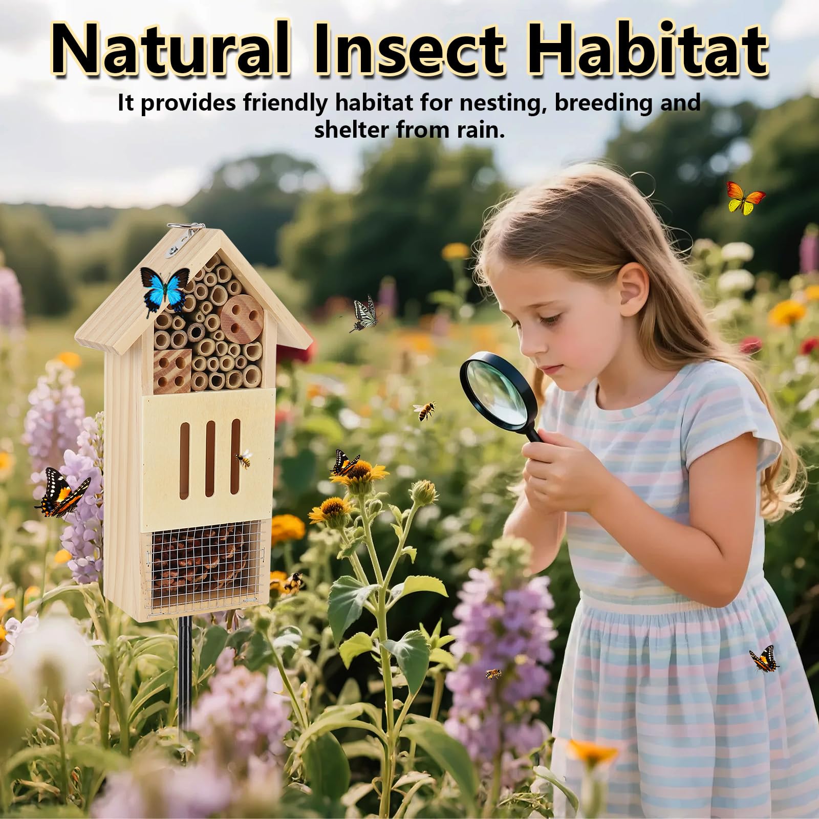 Lettry garden habitat boosts biodiversity by attracting bees, butterflies, and ladybugs.