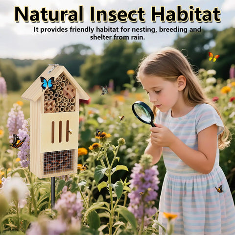 Lettry garden habitat boosts biodiversity by attracting bees, butterflies, and ladybugs.