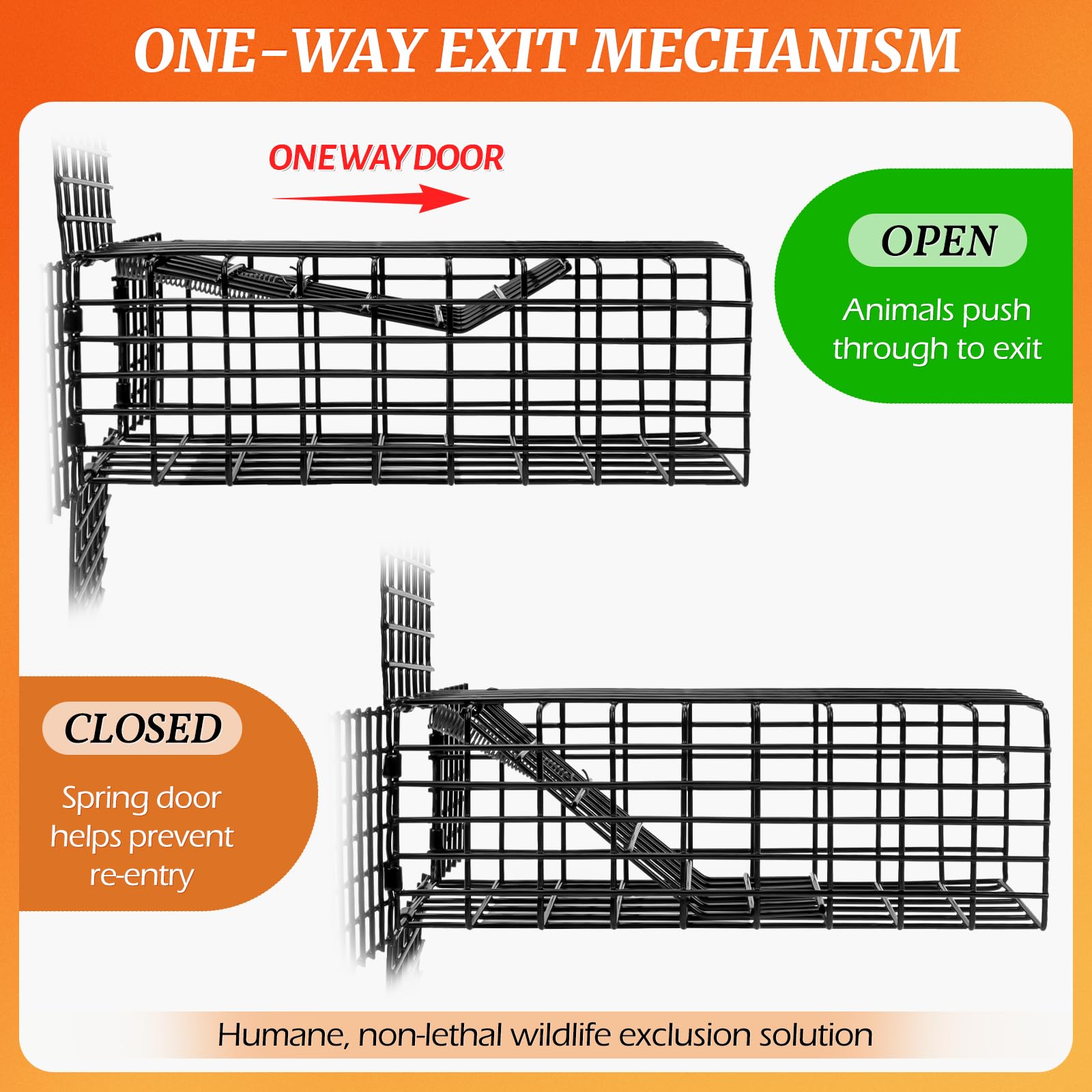 Lettry door tunnel design highlights natural exit for small wildlife