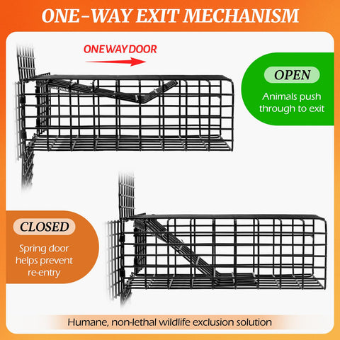 Lettry door tunnel design highlights natural exit for small wildlife