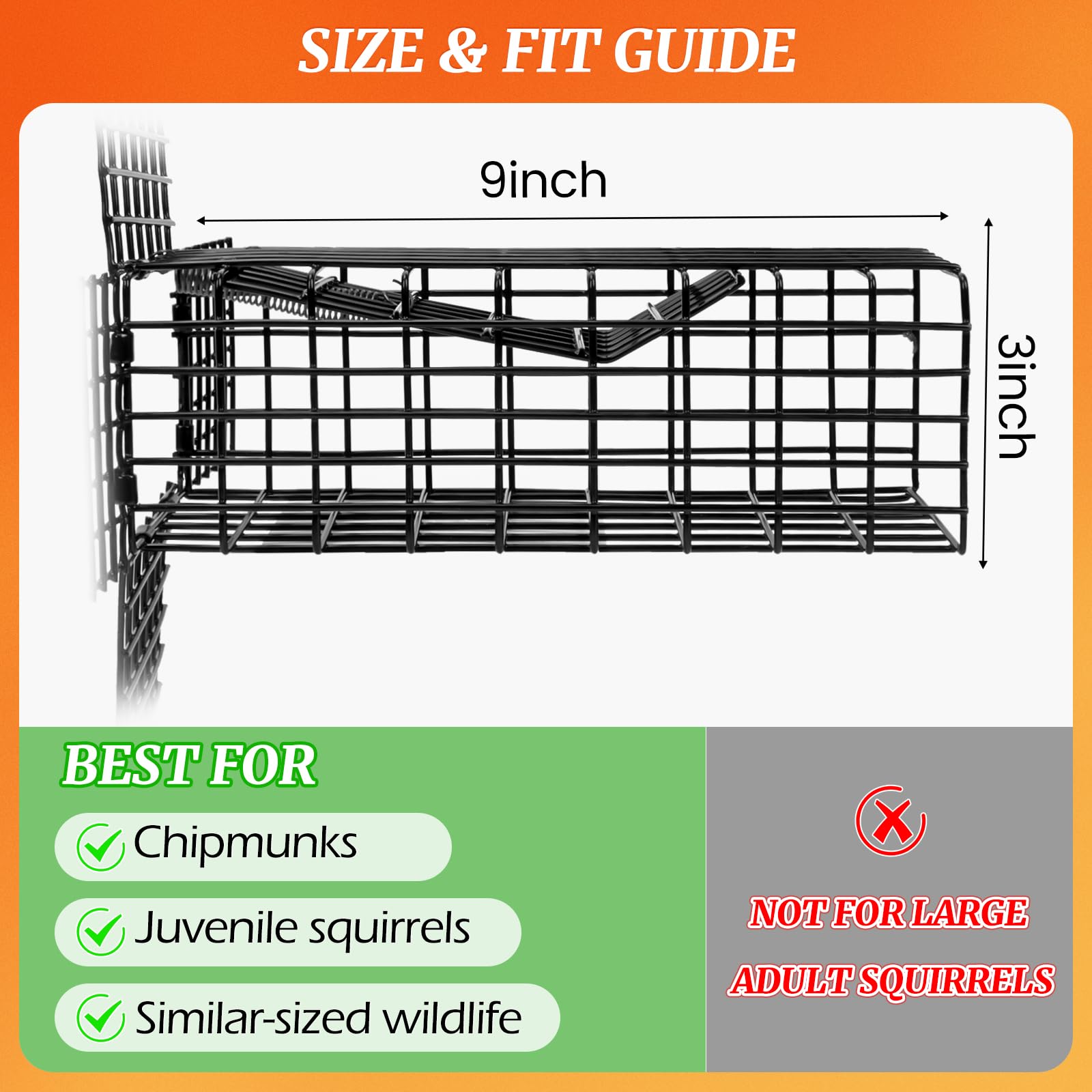 Lettry stainless steel body resists weather and wear