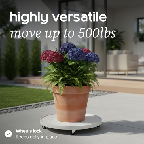 Lettuce Grow compatible with Farmstand and Nook for versatile placement.