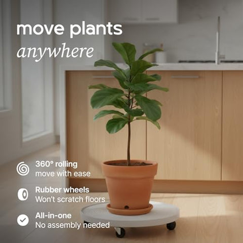 Lettuce Grow heavy-duty rolling plant caddy supports large pots indoors or outdoors.
