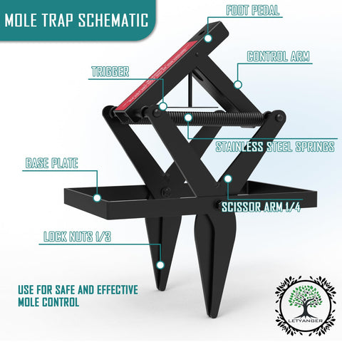 LETYANGER scissor-trap set in a mole tunnel enables quick underground capture.