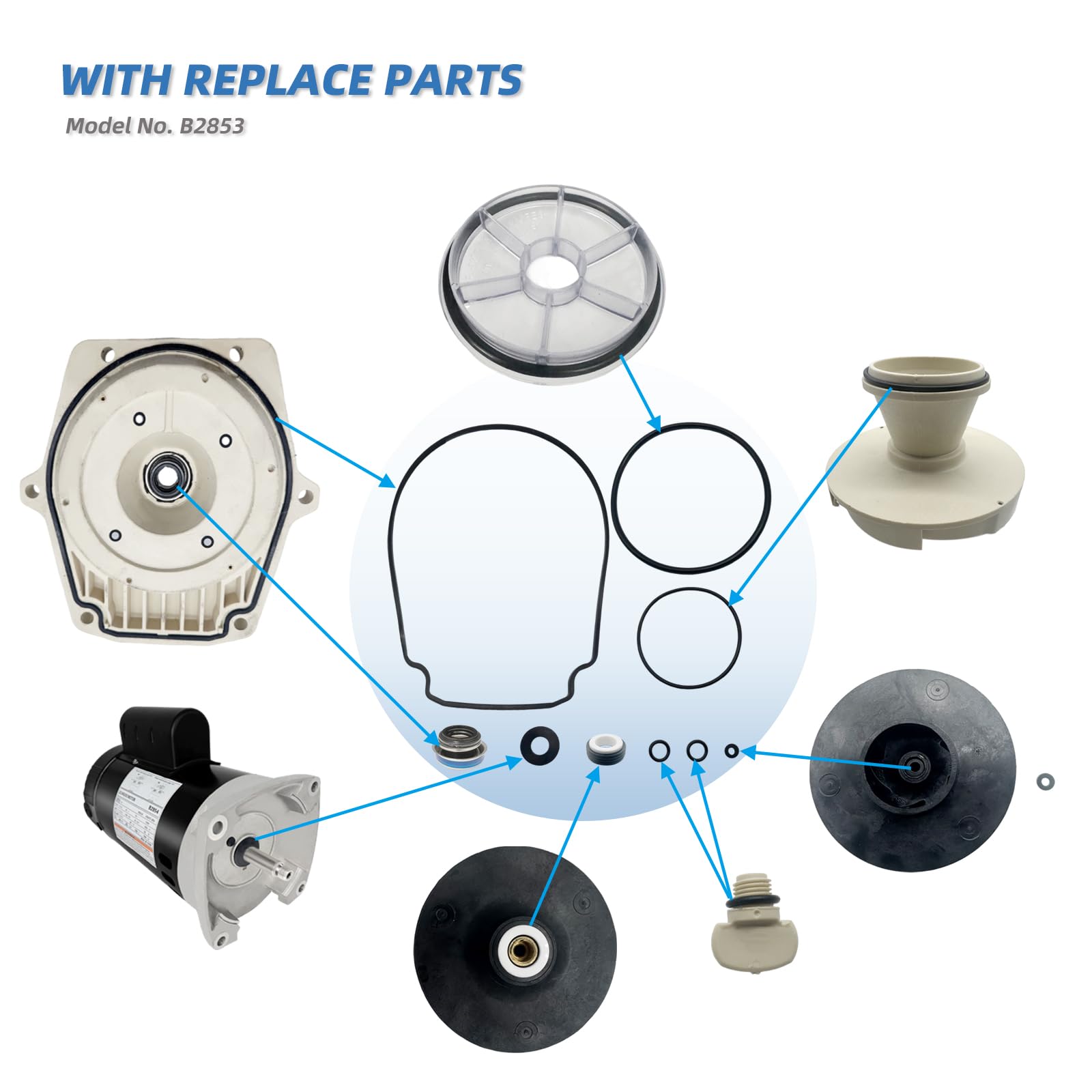 Compatibility chart highlights support for Pentair, Sta-Rite, Jandy pumps