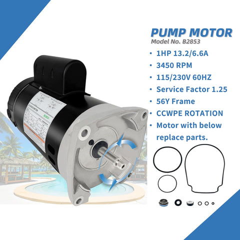 LEUNGOO B2853 1 HP motor side view shows compact durable build