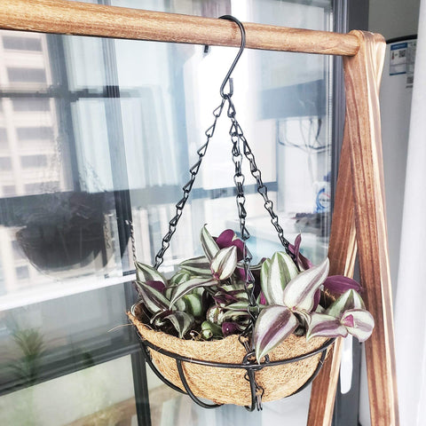 Two-pack Levery HALEDAZE liner set for versatile basket arrangements.
