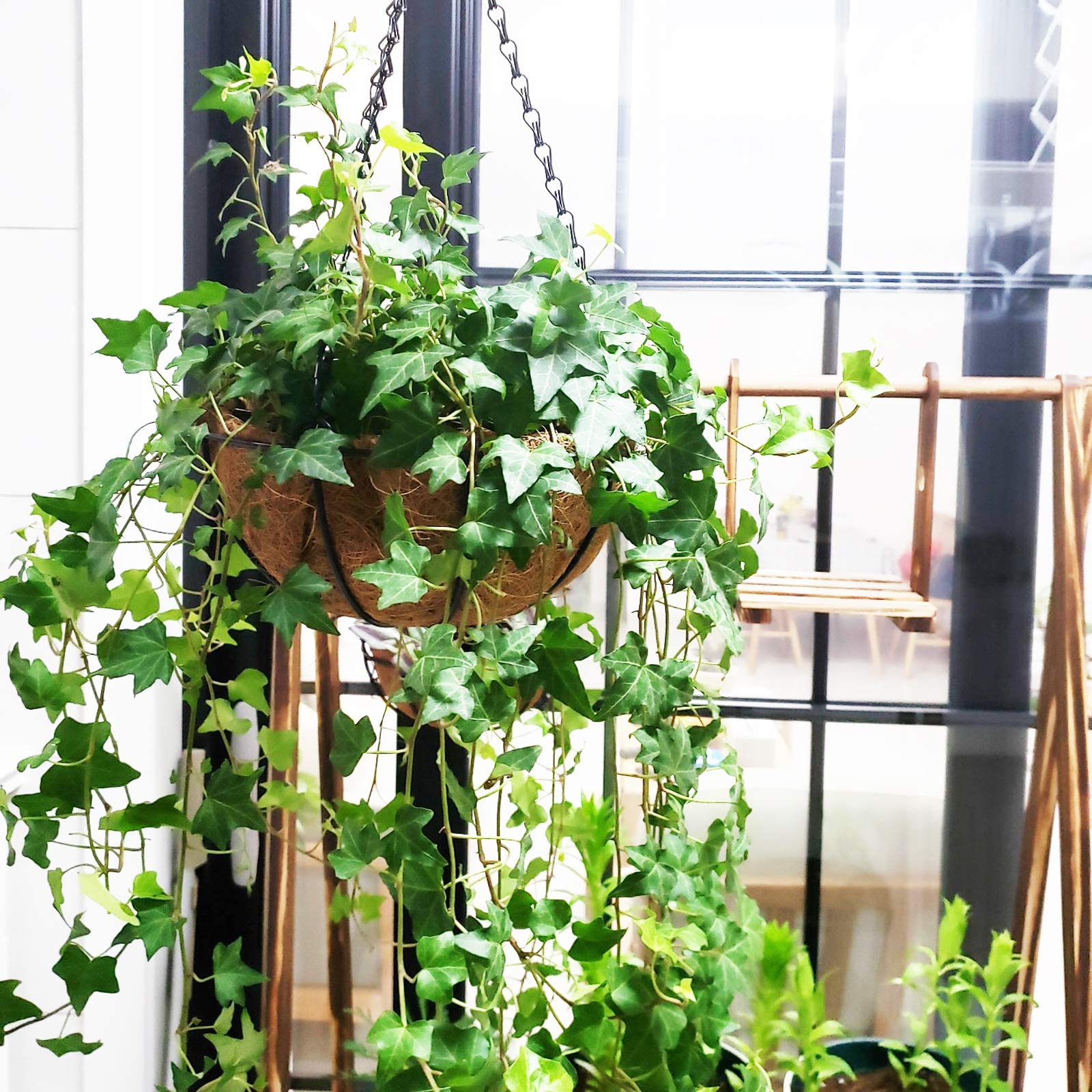 Liner adds natural look for outdoor and indoor decor by Levery HALEDAZE.