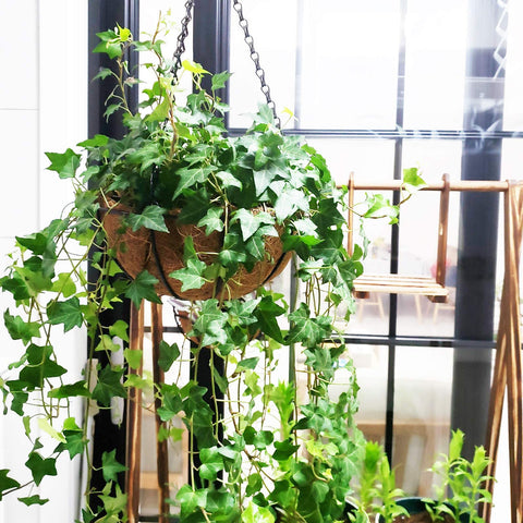 Liner adds natural look for outdoor and indoor decor by Levery HALEDAZE.