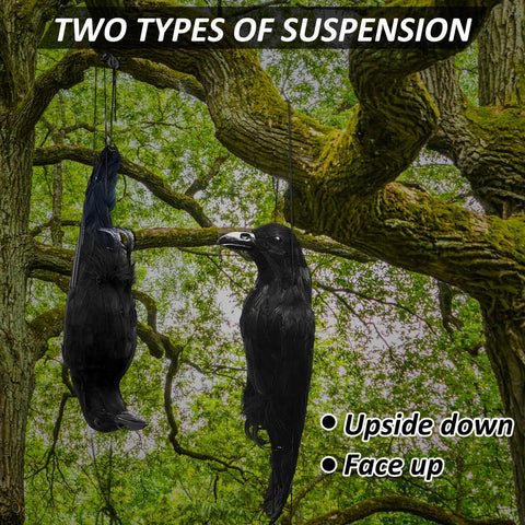 Lewtemi 17-inch crow decoys create a convincing atmosphere for autumn decorations.
