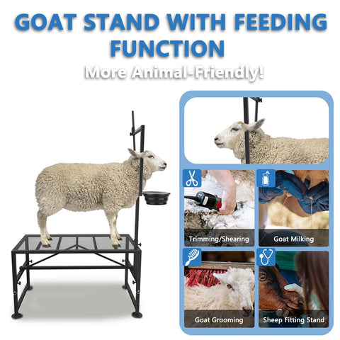 Lezbanz 600lbs stand side view – shows reinforced frame and versatile design.