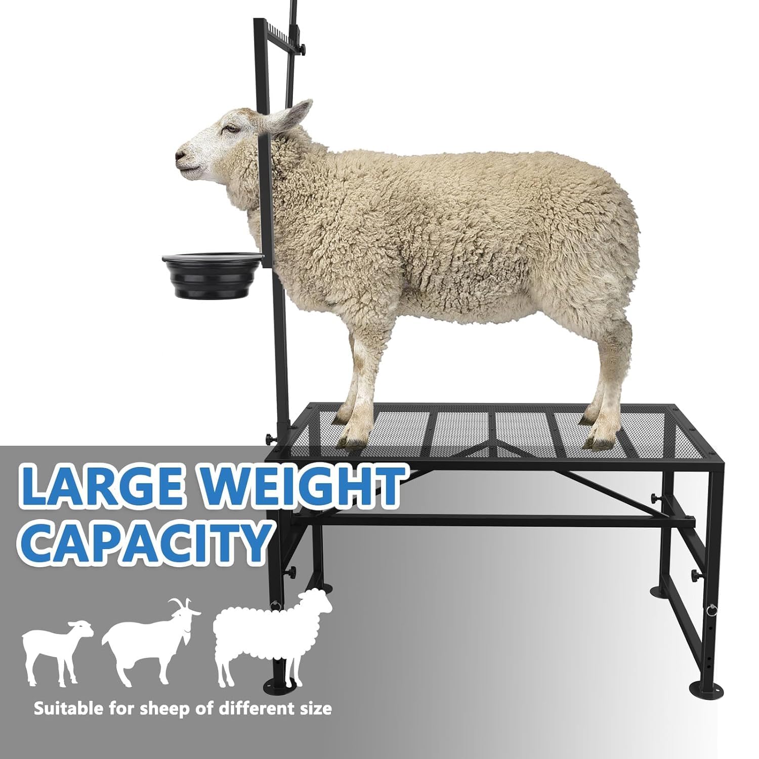 Lezbanz easy-assembly design lets one person set up quickly.