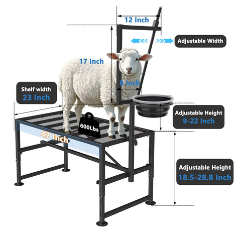 Lezbanz goat milking stand adjustable height – fits sheep of various sizes for easier handling.