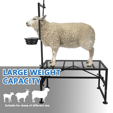 Lezbanz durable iron frame – corrosion resistant coating for long-lasting use.