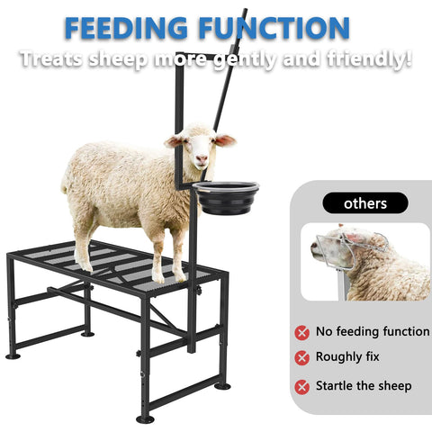 Lezbanz triangular frame – extra stability for secure sheep positioning.