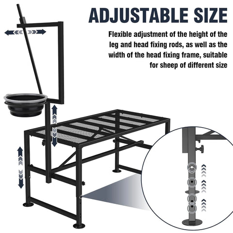 Lezbanz triangular frame design provides stable footing during handling.