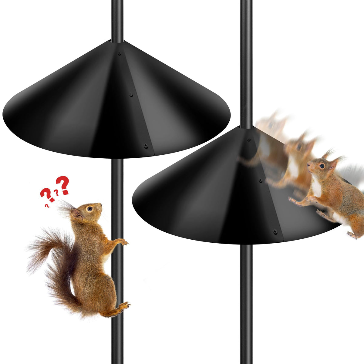 Lezcufer 19-inch squirrel baffle on a pole protects outdoor bird feeders.