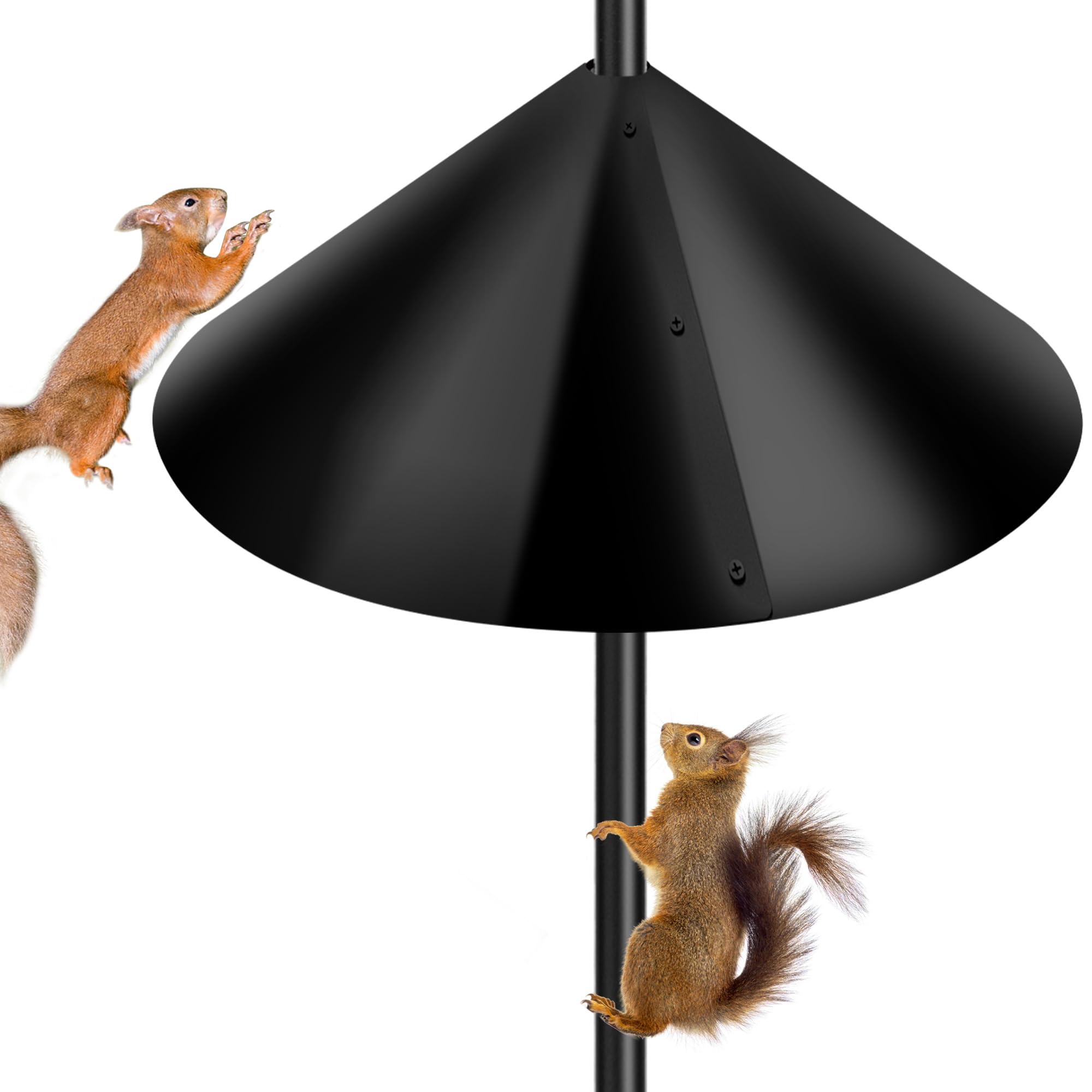 Lezcufer PP squirrel baffle mounted on a pole protects feeders from curious squirrels.