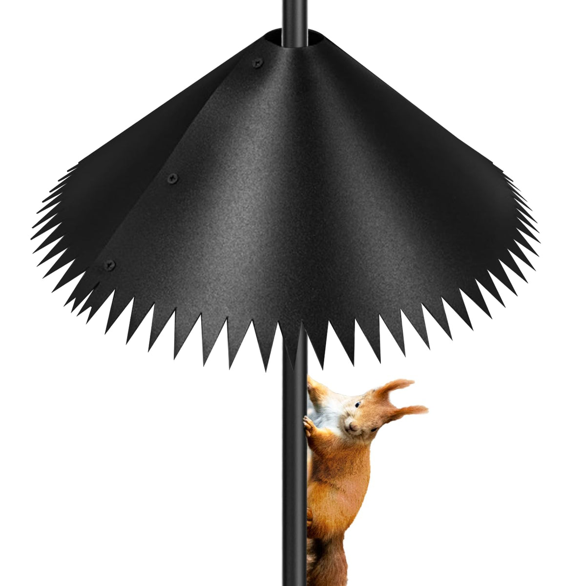 Lezcufer Squirrel Baffle on a 19-inch pole protects your feeder from raids