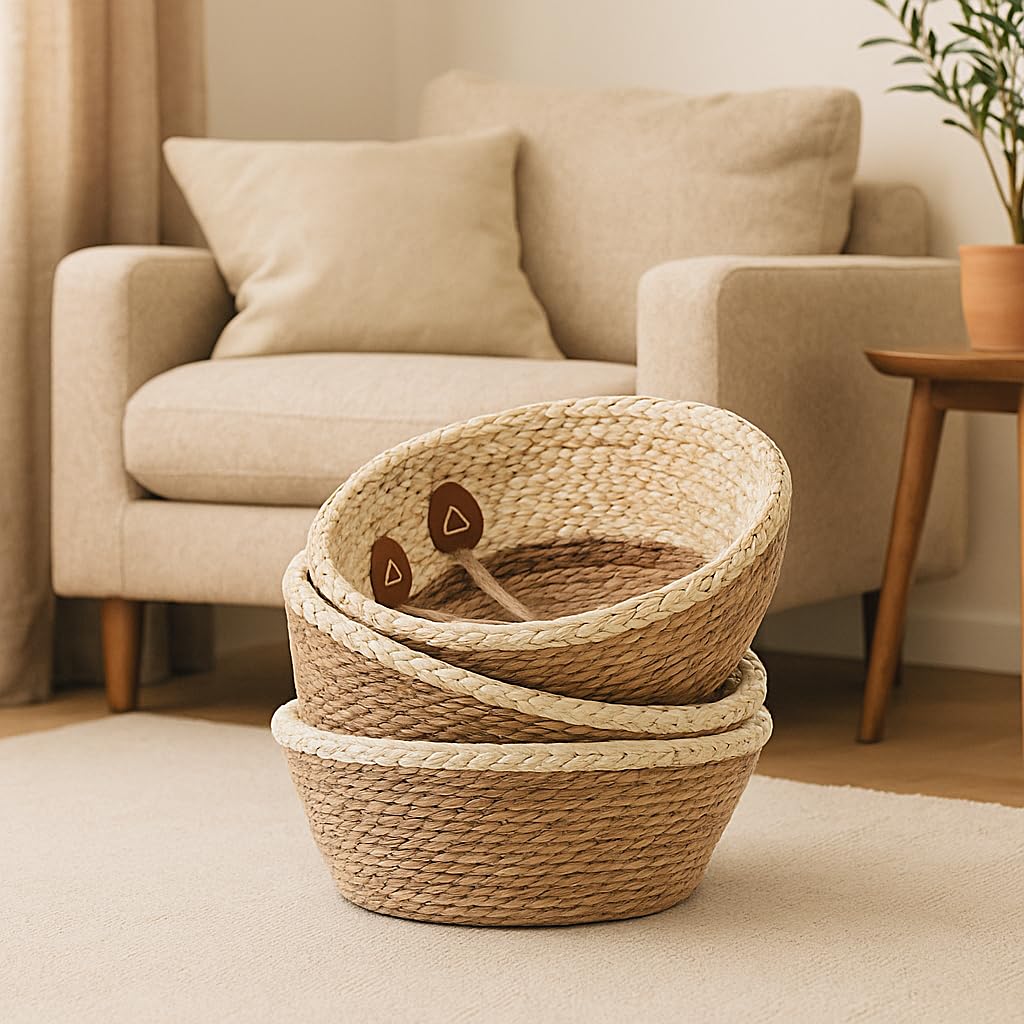 Lfory planter not for direct planting use inner pot or tray