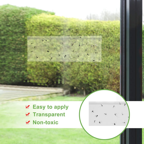 LFSYS trap removal shows no residue on clean windows