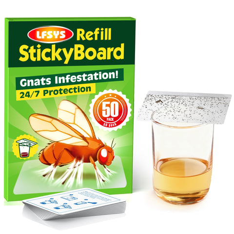 LFSYS fruit fly sticky trap with cup-top design for mess-free kitchen use.