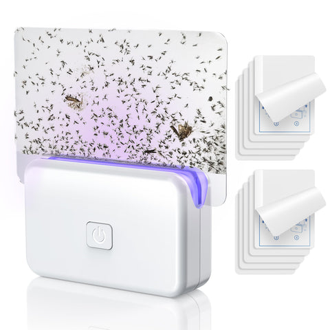 LFSYS fruit fly trap indoor device attracts gnats for quick control.