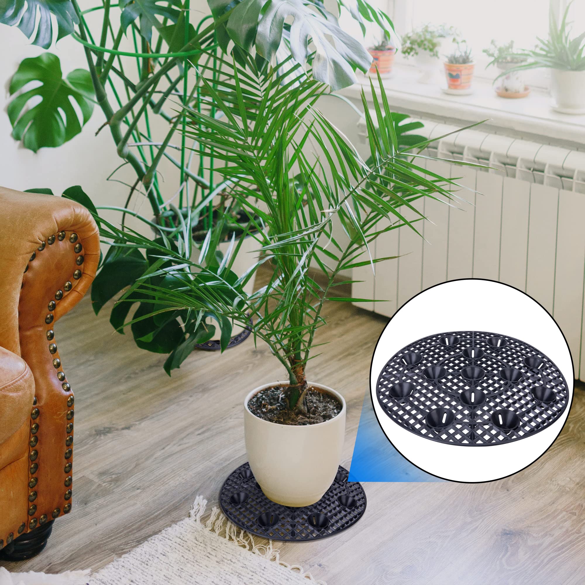LFUTARI surface elevating stands raise plants for better sunlight and air circulation.
