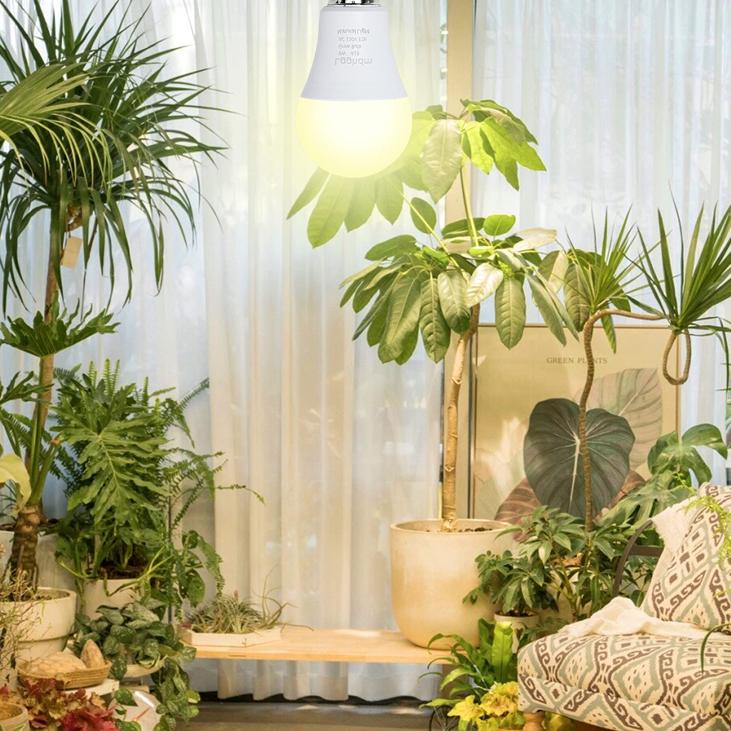 Lgghdm A19 full-spectrum light supports plant growth across stages
