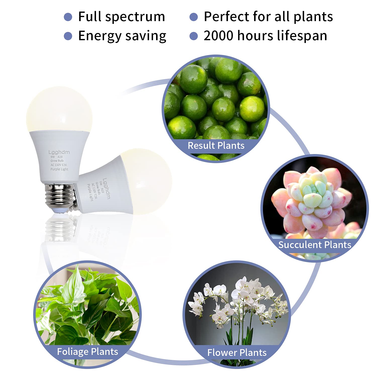 Lgghdm A19 ideal for greenhouse and indoor garden setups