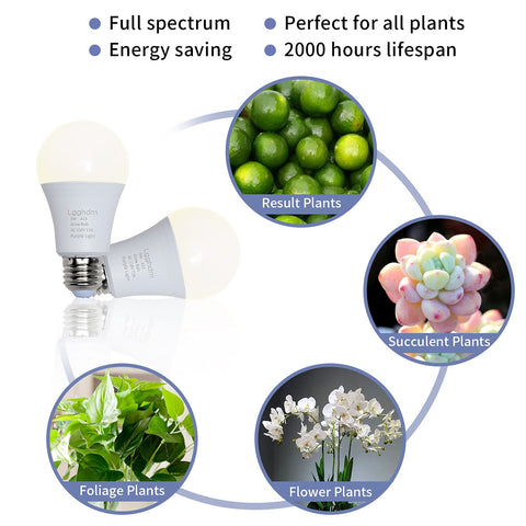 Lgghdm A19 ideal for greenhouse and indoor garden setups