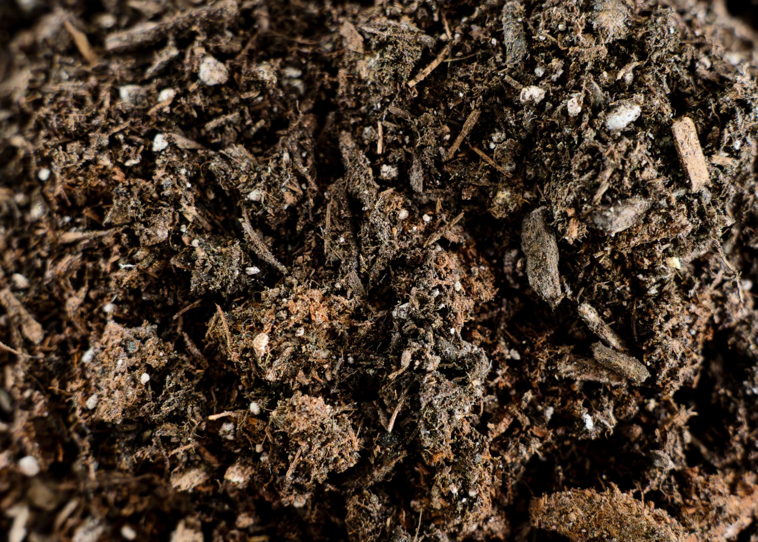 LGM indoor plant use promotes healthy roots and reduces waterlogging