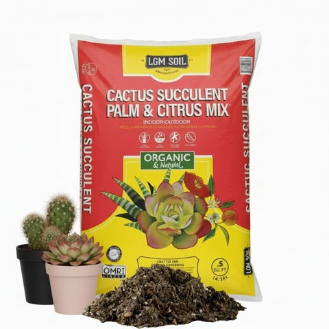 LGM Premium Cactus Soil with volcanic ash for superior drainage and succulent roots