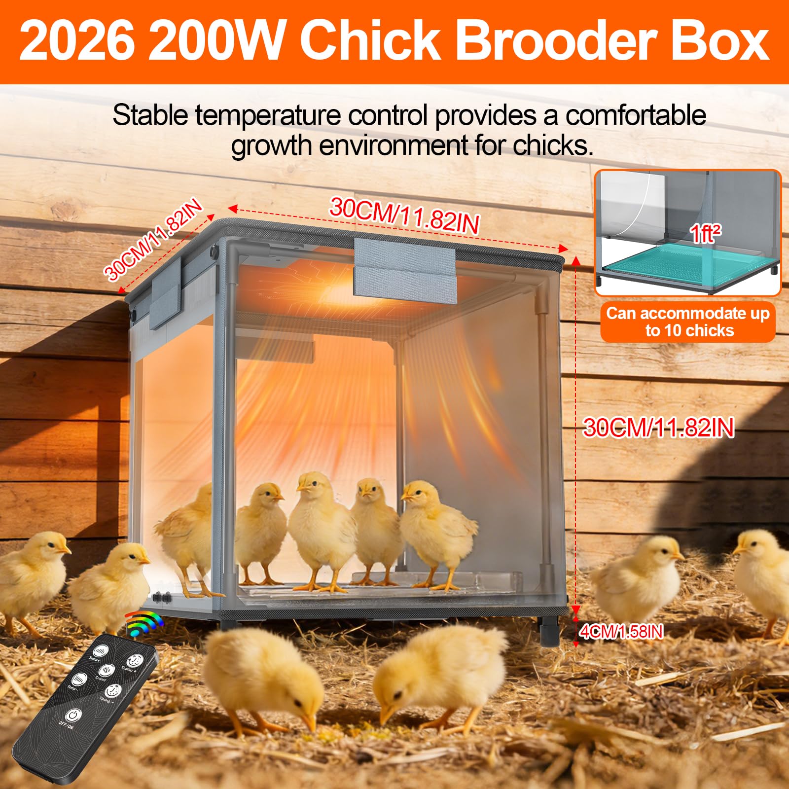 Lgtlqt chicken brooder box inside view for clear monitoring of chick activity.