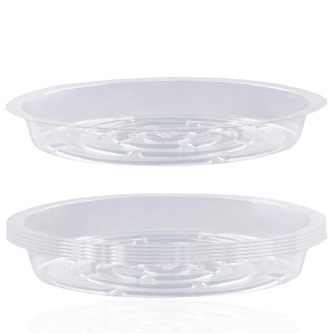 LHatrance 6-pack clear plant saucers showing a tidy pot setup for easy watering
