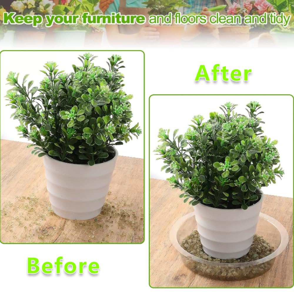 LHatrance transparent dish under pot protecting surfaces while watering