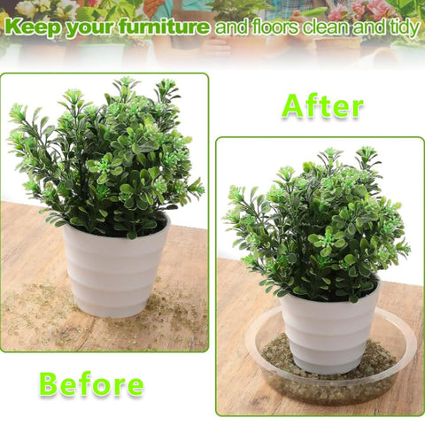 LHatrance transparent dish under pot protecting surfaces while watering